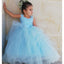 Blue Tulle A-Line Sleeveless Flower Girl Dresses, Popular Lace Little Girl Dresses, FC1450